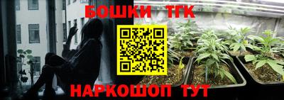 скорость Гагарин