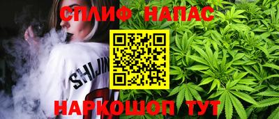 скорость Гагарин