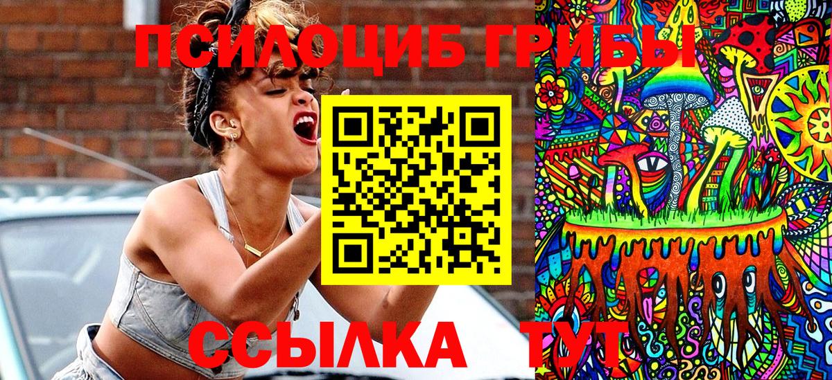 Псилоцибиновые грибы Cubensis  Вход с VPN  Галлюциногенные грибы прущие грибы  Отрадное 